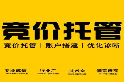 深度解析：百度推广代运营的成功要素